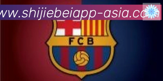 世界杯APP下载合作伙伴